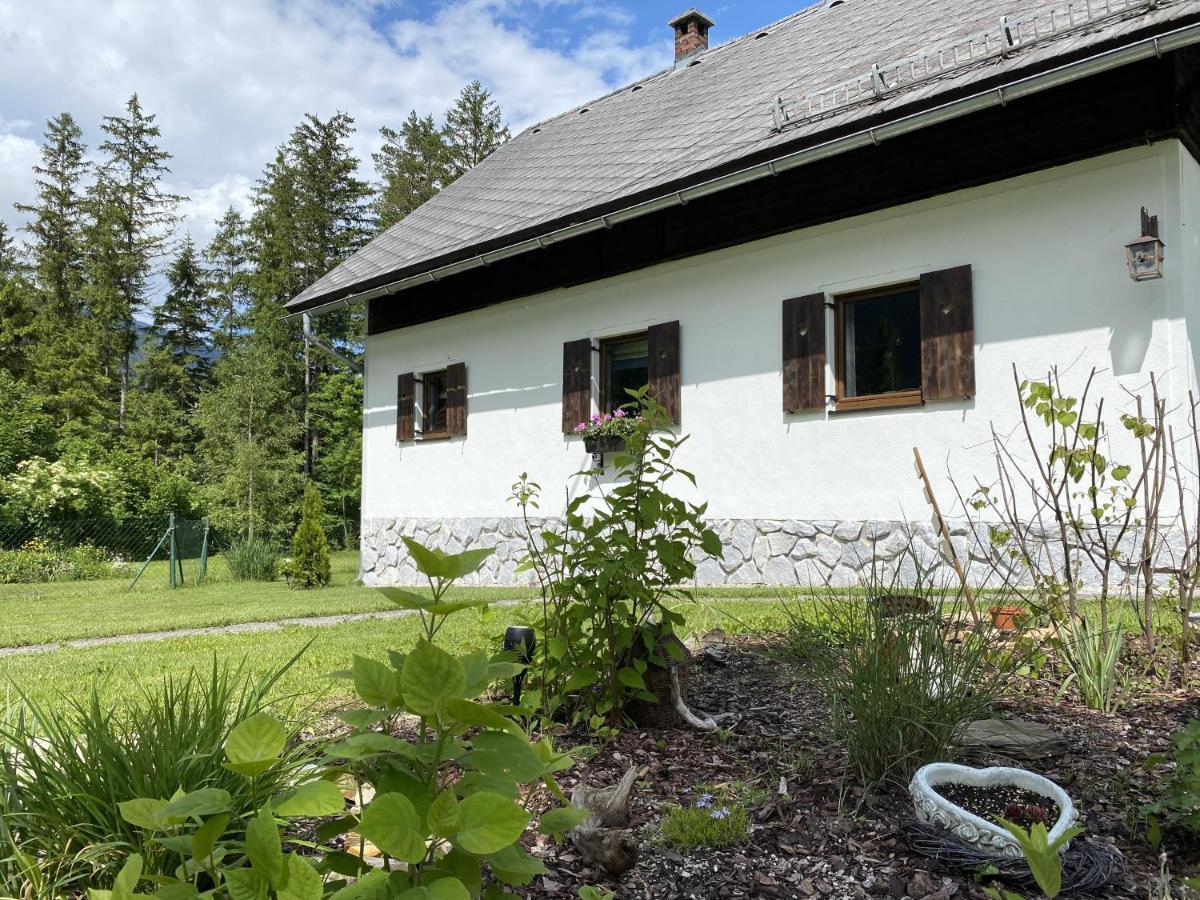 Chalet Am Weissenbach Hinterstoder Exterior photo